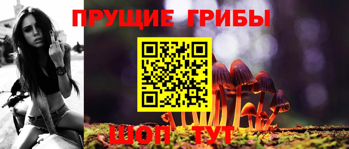 Галлюциногенные грибы Psilocybe  Вход с VPN  Рыбинск 